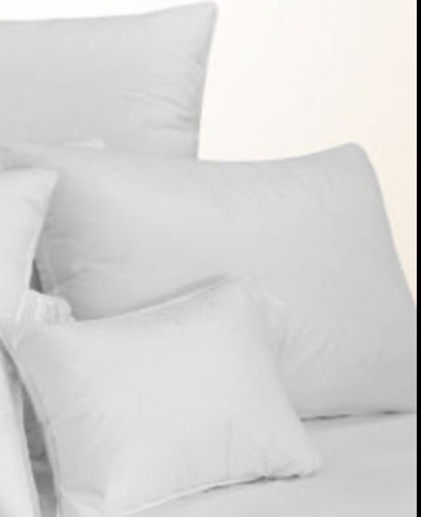 Essential White European Down Pillow