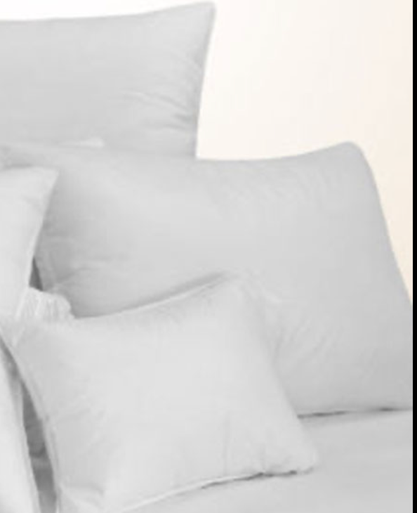 White European Down Pillow