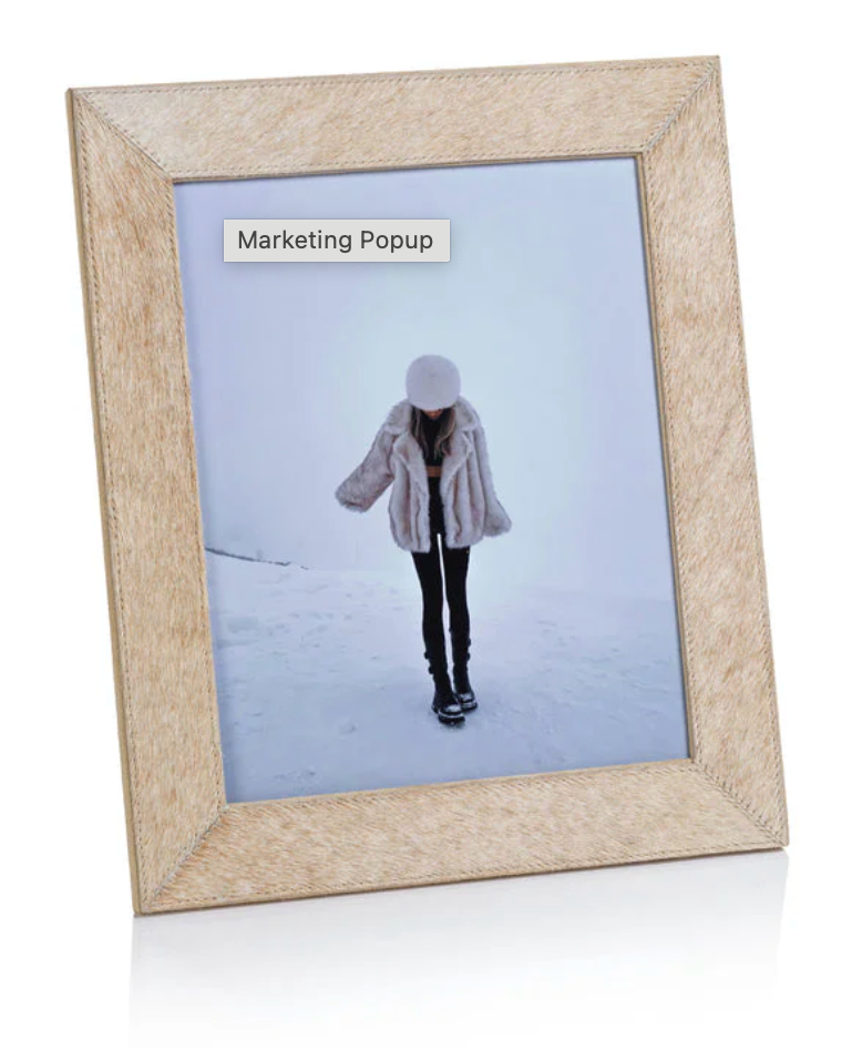Corviglia Hair On Hide Leather Photo Frame Collection