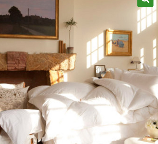 700 Fill Power Batiste Hungarian Down Spa Comforter – Winter
