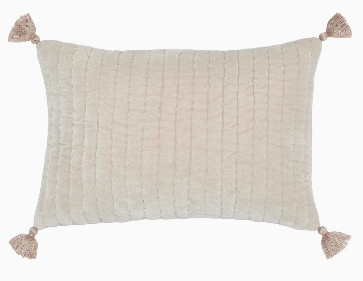 Velvet Decorative Kidney Pillow
