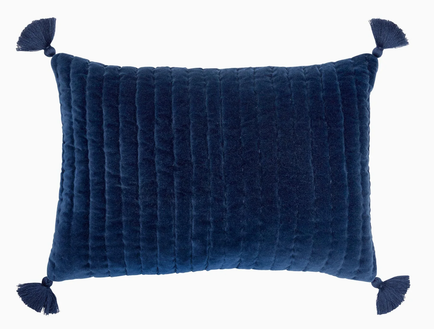 Velvet Decorative Kidney Pillow